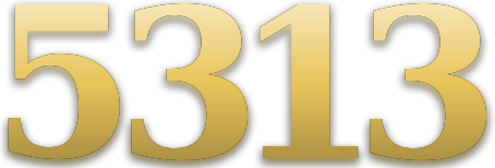 5313 logo